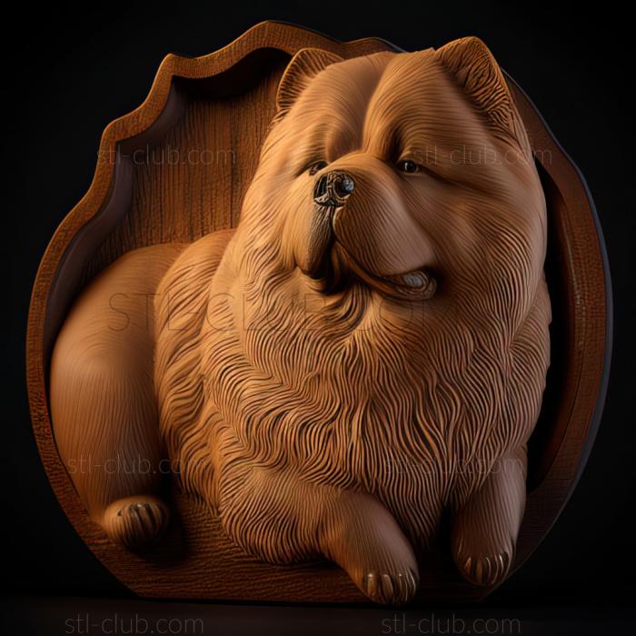 st Chow chow dog